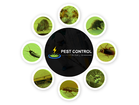 Pest Control Franklin
